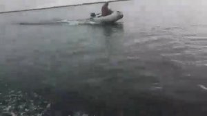 Ямаха 3 Стелс 275 аэро vs. Ямаха F5 X-River Grace Wind 360.