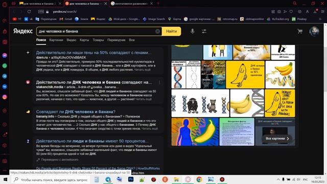 Размножение в цикличном мире