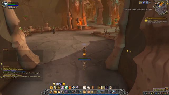 Shadowlands Quest 113: Forging a Champion (WoW, human, Paladin) смотреть онлайн