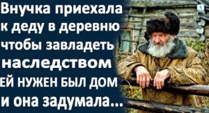 Внучка приехала к деду, чтобы завладеть его наследством... И вот что произошло дальше...