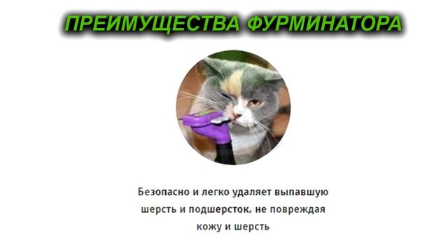 Фурминатор: лучший способ ухаживать за шерстью вашего питомца
