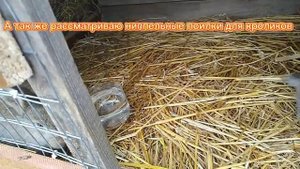 Всё о кроликах///содержание///кормление//цены//кролеководство//