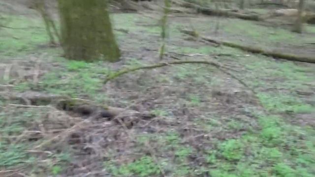 Сморчки 2021. смотреть онлайн