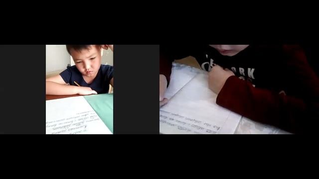 Как проходит диктант ОНЛАЙН