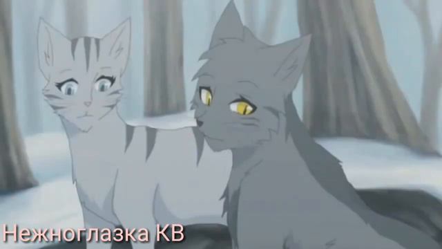 Коты Воители - Крутобок и Серебрянка. Клип - 5 минут  [Заказ]