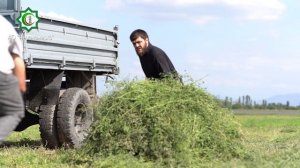 2023й - год чеченского языка. Выпуск - 8й