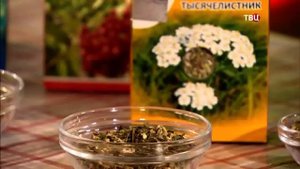 444 Крапива – и другие средства от аллергии