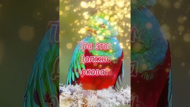 Для женщин