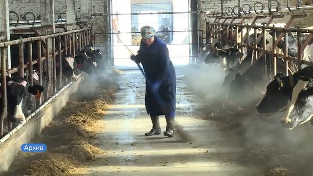 Минсельхоз региона составил рейтинг самых молочных хозяйств края