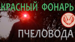 Прислали фонарик пчёл осматривать ночью.  Очень удобно и интересно