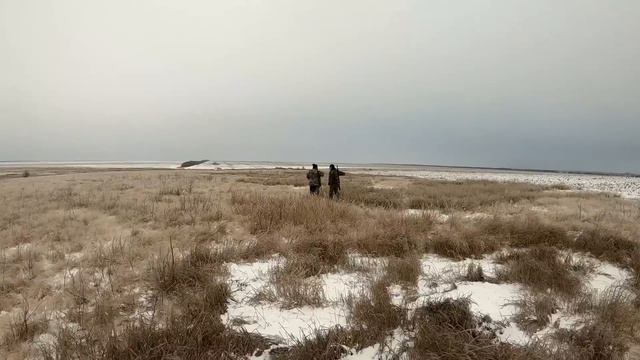 ЛУЧШАЯ ОХОТА СЕЗОНА 2024 на ЗАЙЦА !