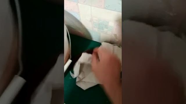 Играем с детенышем ласки. Живет в доме