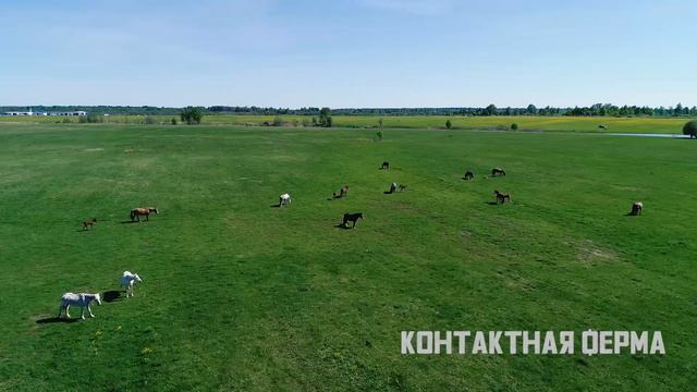 Комплекс усадеб Княжьи Горы (купить гектар в проекте "Мой гектар")