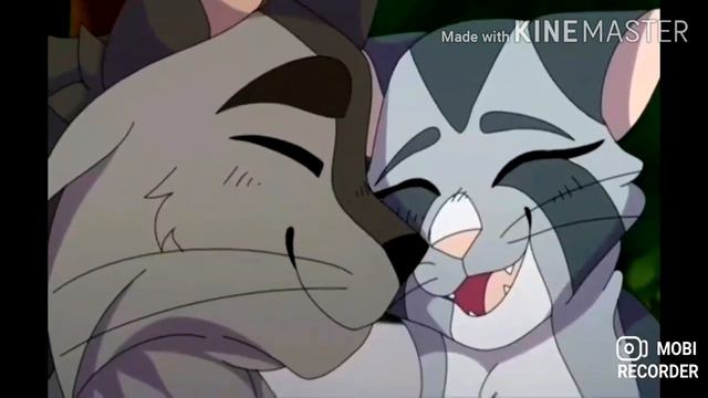 Коты Воители Крутобок и Серебрянка~Это не любовь~