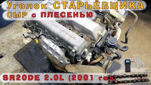 SR20DE - Японский СЫР с плесенью...