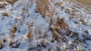 Муравей мотор лефан 168 коробка от днепра вместо коня