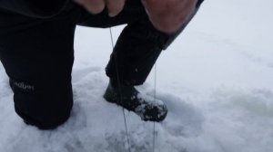 УНИКАЛЬНАЯ СНАСТЬ КОТОРАЯ КОСИТ ЩУКУ! ЗИМНИЙ СЕЛИГЕР.