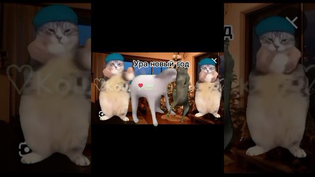 ВСЕ МОИ ВИДЕО С МЕМНЫМИ КОТАМИ НА ЗЕЛЕНОМ ФОНЕ