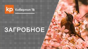 Жизнь на Небесах