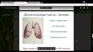 Биология 8 класс 27-28 неделя Дыхательная система. Гигиена дыхания