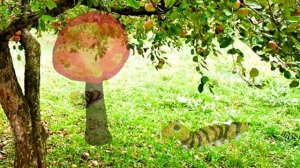 Мультипликационный проект - Сказки про буквы "Г"