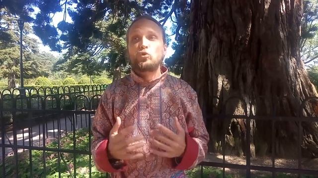 О вековечных деревьях в Дворце Массандры смотреть онлайн