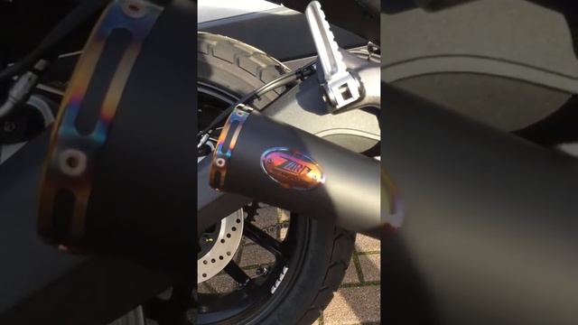 Zard Zuma Slip on Exhaust Black for Ducati Scrambler / Homologated Version смотреть онлайн