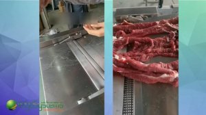 Машина для снятия пленки со свинины, печени, говядины и другого мяса Vega MPT H300