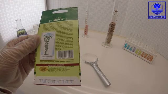 Огурец Вирента F1. Манул смотреть онлайн