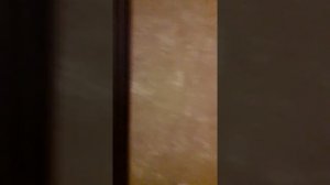 Гостиница Тархо город Махачкала