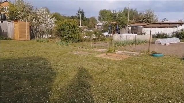 Влог/Дачные выходные/И снова дачные покупки/ насажала растишек и радуюсь!/ смотреть онлайн