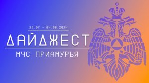 Дайджест ГУ МЧС России по Амурской области 29.07-04.08.2024