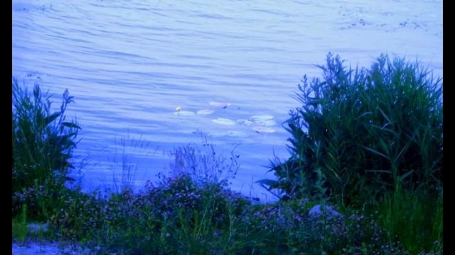 У Свияжской воды смотреть онлайн