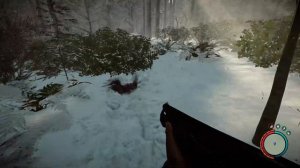 i played sons of the forest hunting mode