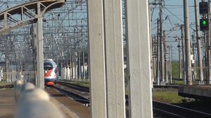 сапсан летит всем боятся