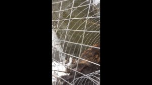 эффективный способ ловли ондатры  часть третья эпилог