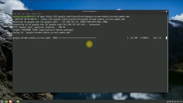 How to Install Google Chrome on Linux Mint 21 | Install Chrome on Linux Mint 21 Vanessa "Cinnamon" смотреть онлайн
