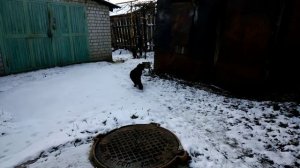 Установка доп.света (+схема подключения) , дуг, центральной подножки, на мотоцикл Геон Твинкам 250!