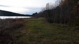 2 пары kicx LL 6.5 v2 4om , 1 пара рупора kicx