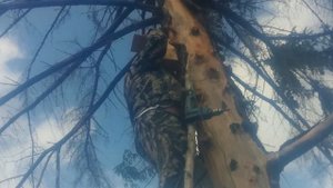 Вешаем скворечник.