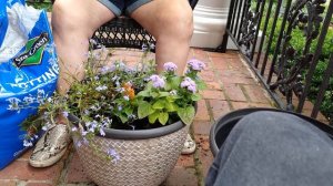 GARDENING ON THE PORCH TODAY | CONTAINER GARDENS