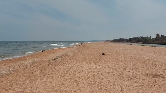 Самый безлюдный пляж. Азовское море. Пересыпь.