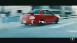 Грибы копы. Бас в машину. ??