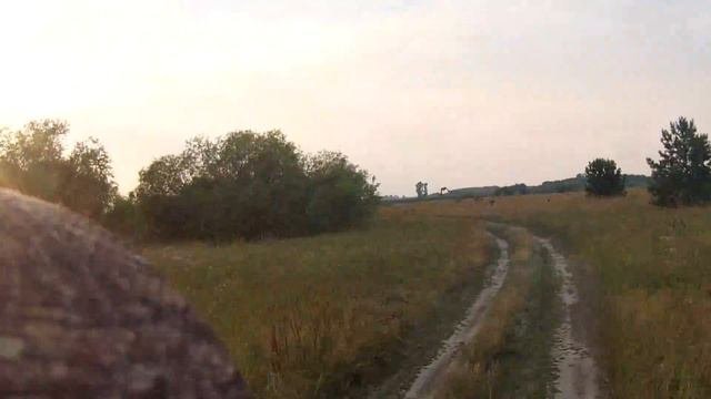 Копаново пойма 2 18 07 16 VI000114
