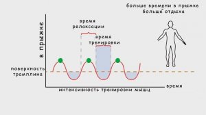 Что происходит с организмом при прыжках на батуте