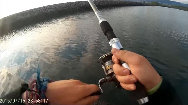 ловля камбалы с берега на донную снасть | fishing for flounder