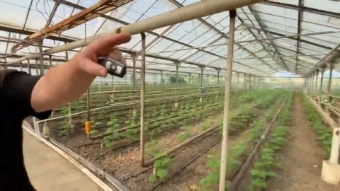 Продаётся сельхоз предприятие в Приморско-Ахтарске Краснодарского края, 89186922458.