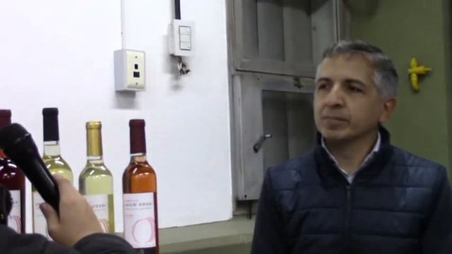 Peter Pan Tv 16/2018 смотреть онлайн