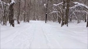 ЗИМНИЙ ЗЕЛЕНОГРАД! Зимняя сказка! Экологическая тропа. (13.02.2021)