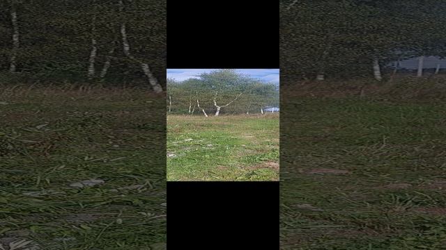 работа кипит! смотреть онлайн